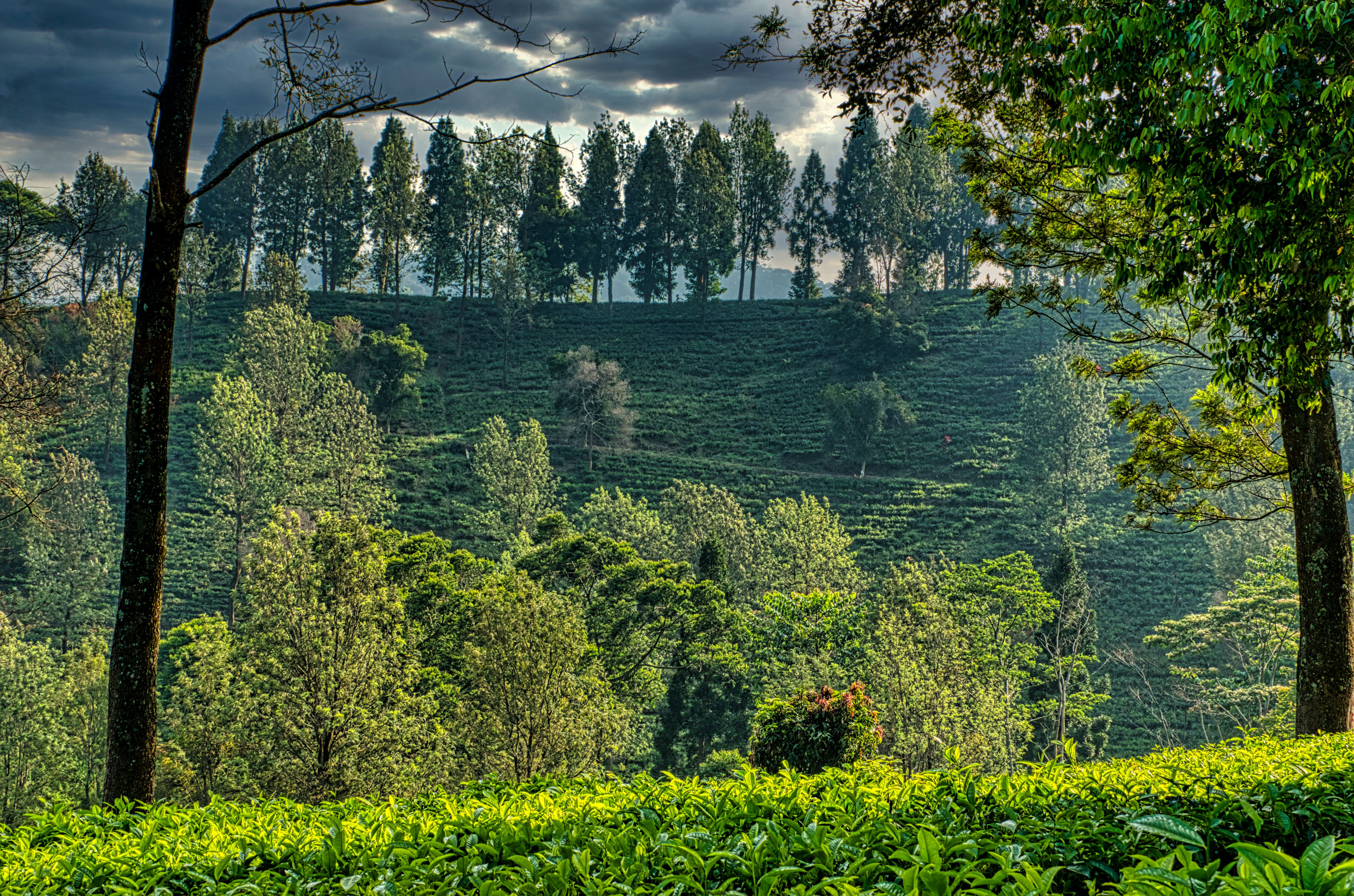 HAPUTALE & LIPTON SEAT