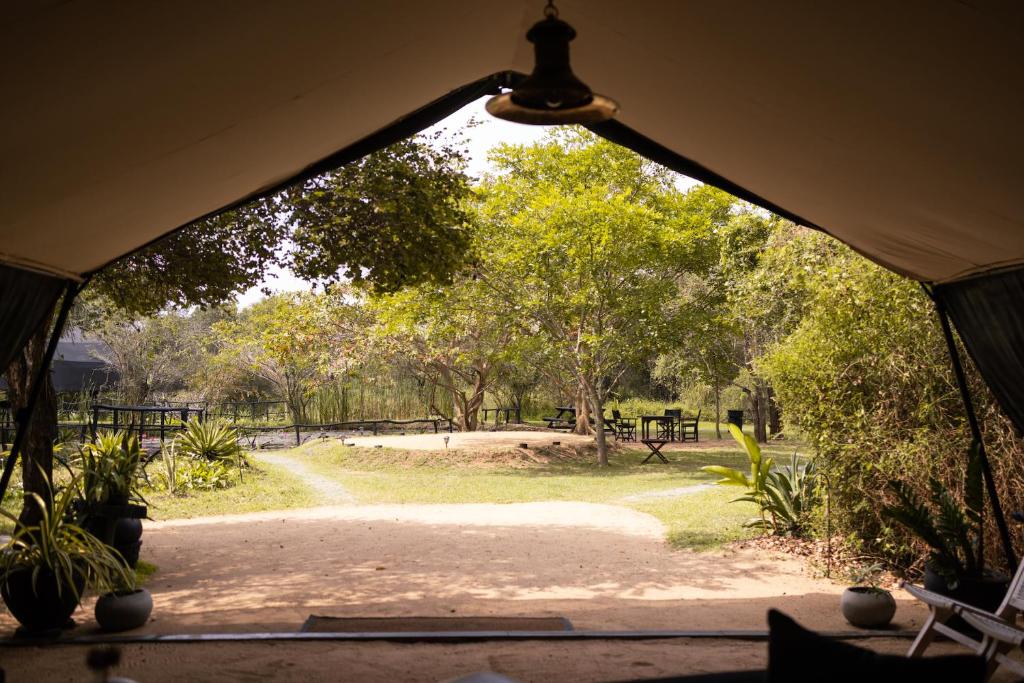A Final Morning in Wilpattu, image 1