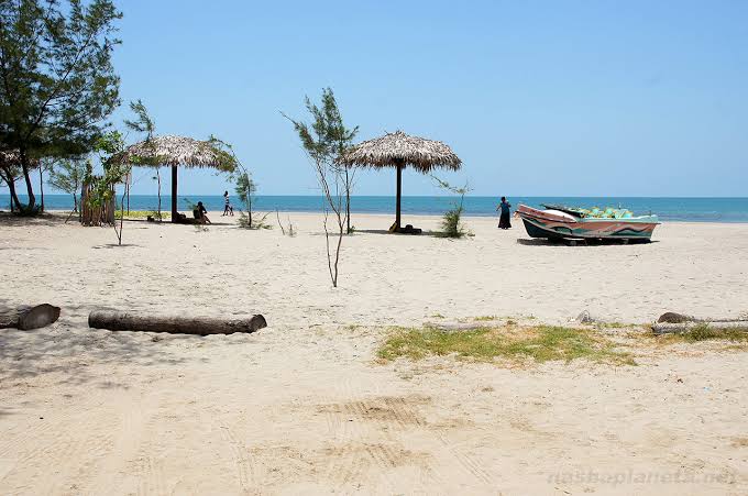 Jaffna - Islands & Coast, image 2