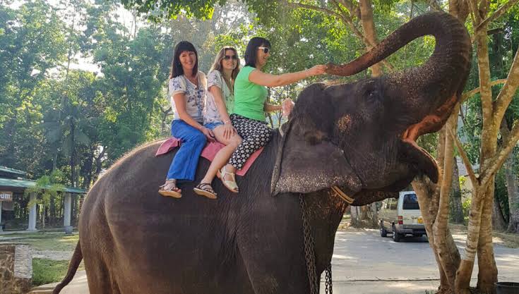 Kandy en route to Aarunya Sacred Steps, Gentle Giants & A Mountain Sanctuary, image 2