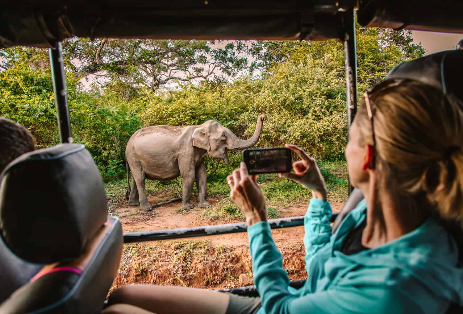 Yala National Park - Into the Wild, image 2