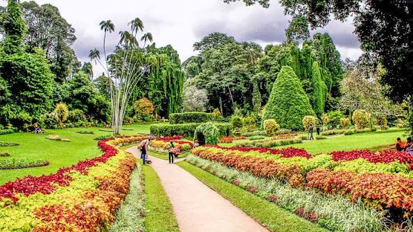 Kandy to Negombo - The Farewell Garden Trail, image 2
