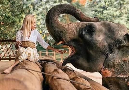 Kandy en route to Aarunya Sacred Steps, Gentle Giants & A Mountain Sanctuary, image 2